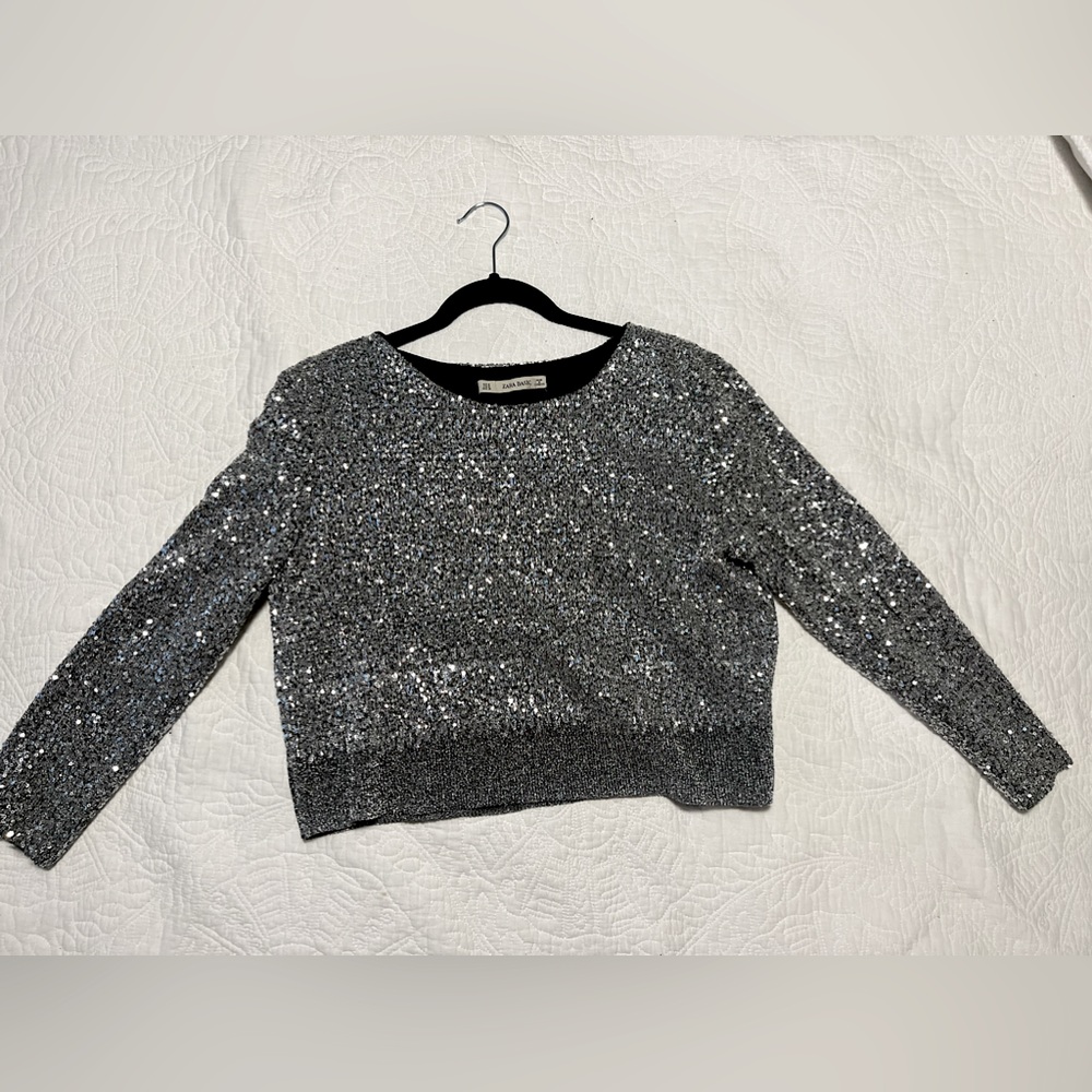 Sequin Silver Zara Top M